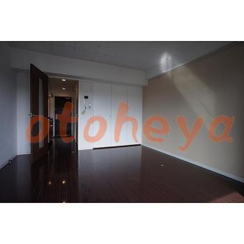 &&&& 楽器可 ピアノ可 で 東京市部の賃貸マンション物件 1K 9.2万円の写真４