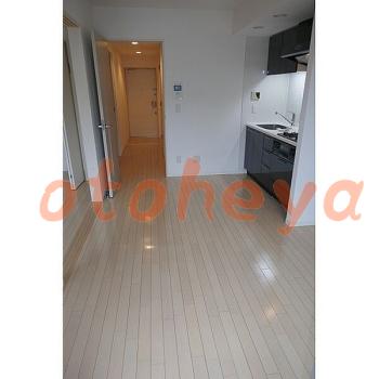 &&&& 楽器可 ピアノ可 で 東京23区の賃貸マンション物件 2DK 14.5万円の写真３