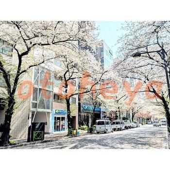 楽器可 ピアノ可 で 東京23区の賃貸マンション物件 2LDK 49.8万円の写真2