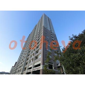 &&&& 楽器可 ピアノ可 で 東京23区の賃貸マンション物件 1SLDK 26.5万円の写真３