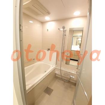 &&&& 楽器可 ピアノ可 で 東京23区の賃貸マンション物件 2LDK 48万円の写真６
