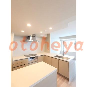 &&&& 楽器可 ピアノ可 で 東京23区の賃貸マンション物件 3LDK 98万円の写真７
