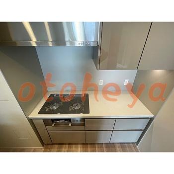 &&&& 楽器可 ピアノ可 で 東京23区の賃貸マンション物件 2LDK 48万円の写真８