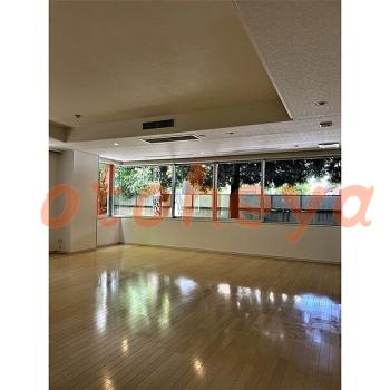 &&&& 楽器可 ピアノ可 で 東京23区の賃貸マンション物件 1LDK 94.5万円の写真５