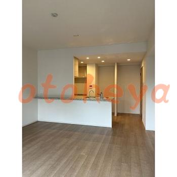 &&&& 楽器可 ピアノ可 で 東京近郊 地下鉄の賃貸マンション物件 3LDK 43万円の写真３