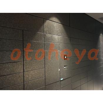 &&&& 楽器可 ピアノ可 で 東京23区の賃貸マンション物件 1K 10.8万円の写真３