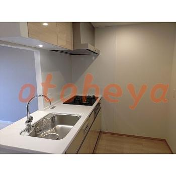 &&&& 楽器可 ピアノ可 で 東京近郊の賃貸物件 2LDK 25.5万円の写真５