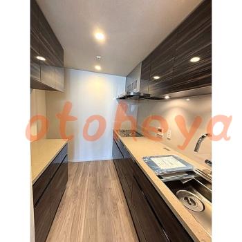 &&&& 楽器可 ピアノ可 で 東京23区の賃貸マンション物件 2LDK 52.5万円の写真５