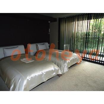 &&&& 楽器可 ピアノ可 で 東京近郊 地下鉄の賃貸マンション物件 1LDK 42万円の写真１４