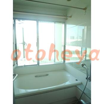 &&&& 楽器可 ピアノ可 で 東京近郊 地下鉄の賃貸マンション物件 1LDK 42万円の写真６