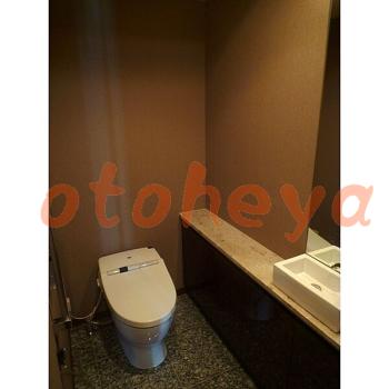 &&&& 楽器可 ピアノ可 で 東京近郊 地下鉄の賃貸マンション物件 1LDK 42万円の写真７