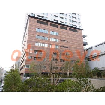&&&& 楽器可 ピアノ可 で 東京23区の賃貸マンション物件 1LDK 35万円の写真４