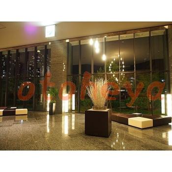 楽器可 ピアノ可 で 東京近郊の賃貸物件 2LDK 30万円の写真2