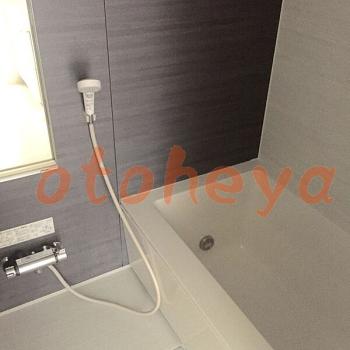 &&&& 楽器可 ピアノ可 で 東京近郊の賃貸物件 1LDK 12.8万円の写真７