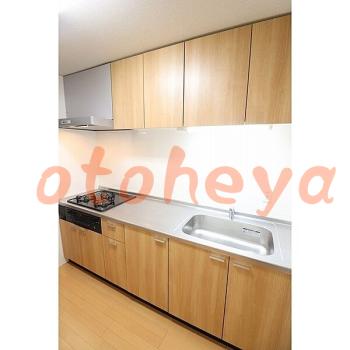 &&&& 楽器可 ピアノ可 で 東京近郊の賃貸物件 2SLDK 9.9万円の写真９