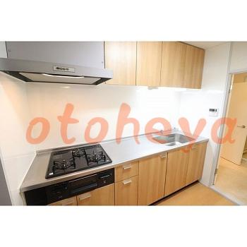 &&&& 楽器可 ピアノ可 で 東京近郊の賃貸物件 2SLDK 9.9万円の写真８