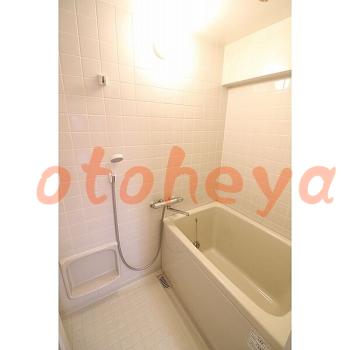 &&&& 楽器可 ピアノ可 で 東京近郊の賃貸物件 2SLDK 9.9万円の写真１０