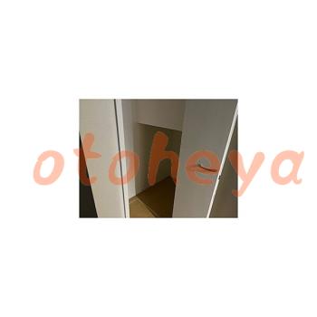  楽器可 ピアノ可 で 埼玉県の賃貸マンション物件 2SLDK 19.5万円の写真１１