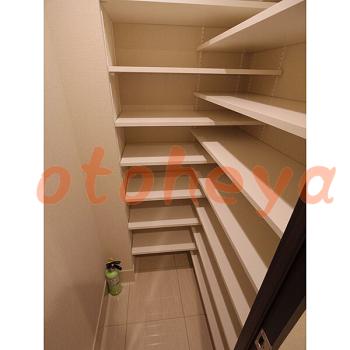 &&&& 楽器可 ピアノ可 で 東京近郊 地下鉄の賃貸マンション物件 2LDK 34万円の写真１１