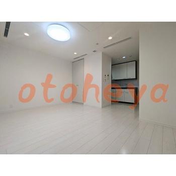 &&&& 楽器可 ピアノ可 で 東京近郊の賃貸物件 1R 21.5万円の写真５