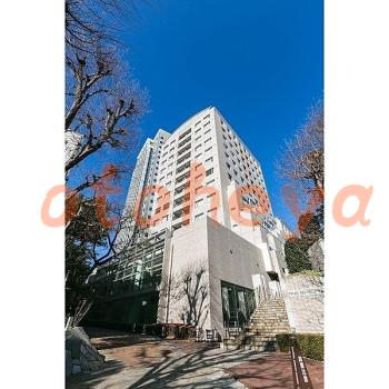 楽器可 ピアノ可 で 東京23区の賃貸マンション物件 1R 22.5万円の写真2
