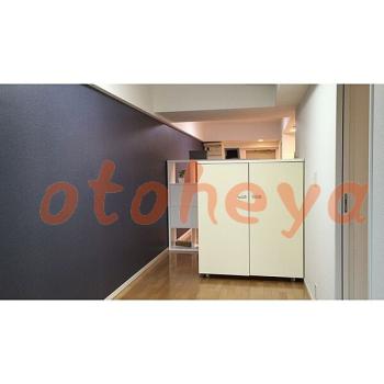 &&&& 楽器可 ピアノ可 で 東京近郊の賃貸物件 1DK 9.1万円の写真5