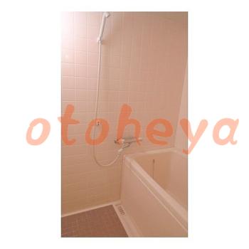 &&&& 楽器可 ピアノ可 で 東京近郊 地下鉄の賃貸マンション物件 2LDK 27万円の写真１０