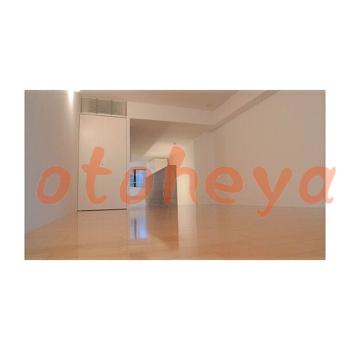 &&&& 楽器可 ピアノ可 で 東京近郊 地下鉄の賃貸マンション物件 2LDK 27万円の写真４
