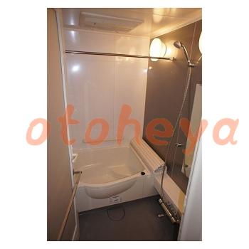 &&&& 楽器可 ピアノ可 で 東京23区の賃貸マンション物件 1LDK 20.9万円の写真５