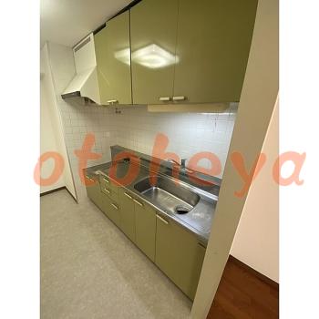  楽器可 ピアノ可 で 埼玉県の賃貸マンション物件 2SLDK 11.9万円の写真８