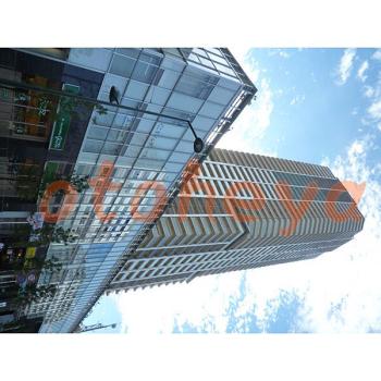 楽器可 ピアノ可 で 神奈川県の賃貸マンション物件 3LDK 35万円の写真2